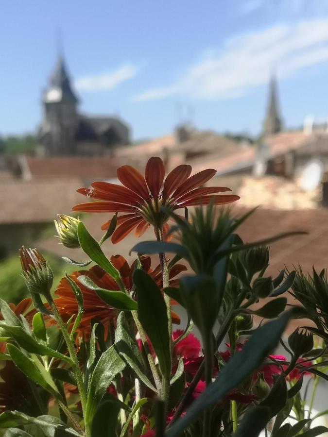 Maison Belmont إيميت المظهر الخارجي الصورة